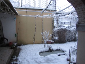 snow (4)